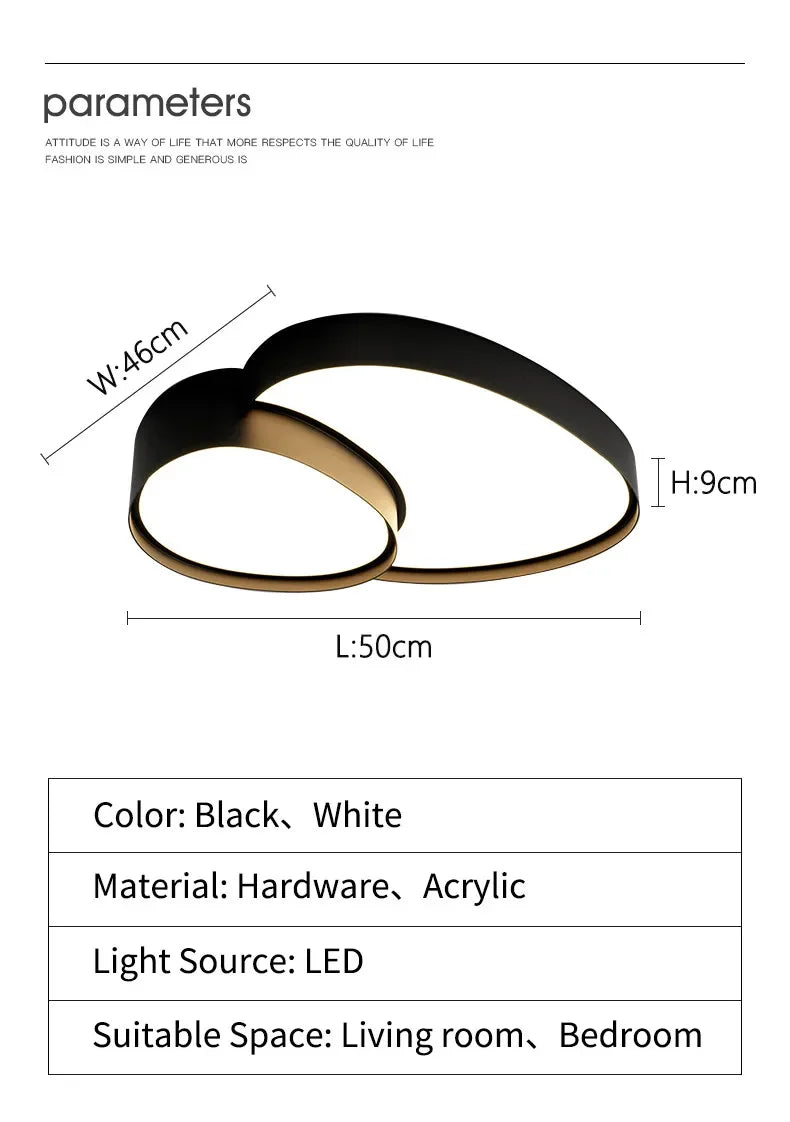 Plafonnier LED Ultra-Fin Fer Noir Blanc 40cm 50cm 90cm Dimmable Télécommande