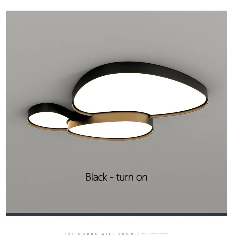 Plafonnier LED Ultra-Fin Fer Noir Blanc 40cm 50cm 90cm Dimmable Télécommande