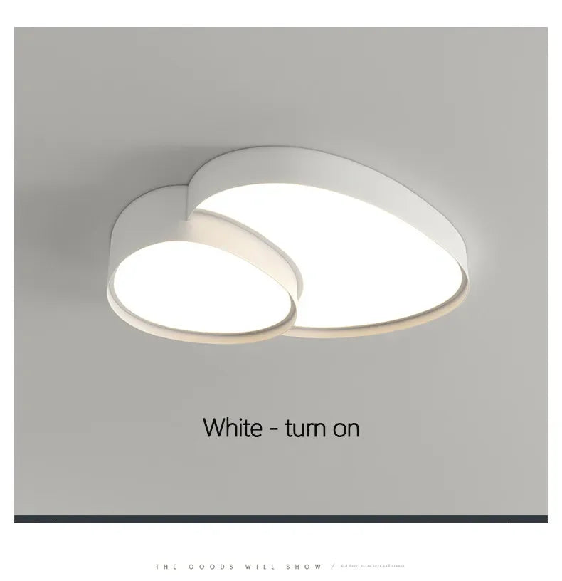 Plafonnier LED Ultra-Fin Fer Noir Blanc 40cm 50cm 90cm Dimmable Télécommande