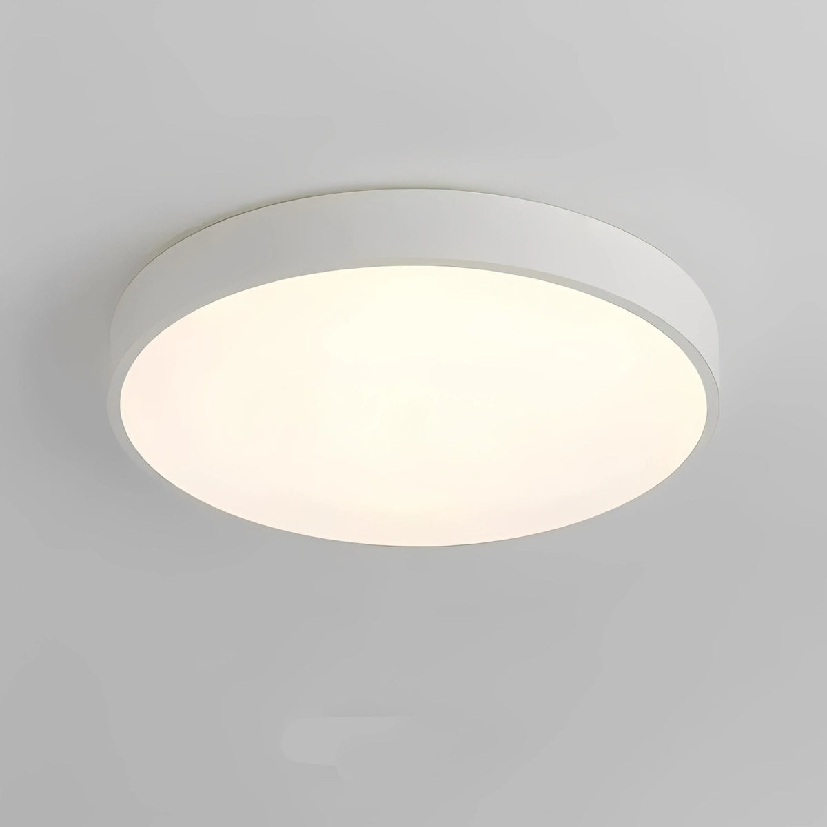 Plafonnier LED Rond Simple 23cm 30cm 40cm Gris Noir Blanc Dimmable