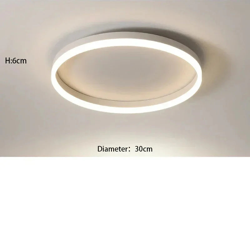 Plafonnier LED Circulaire Nordique 30cm 50cm Noir Blanc Dimmable Télécommande