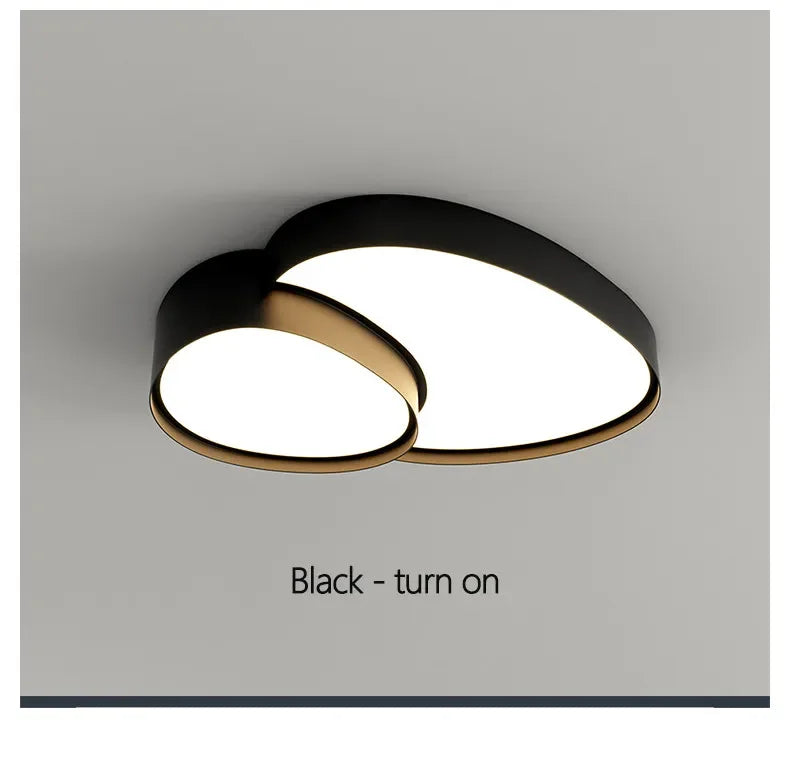 Plafonnier LED Ultra-Fin Fer Noir Blanc 40cm 50cm 90cm Dimmable Télécommande