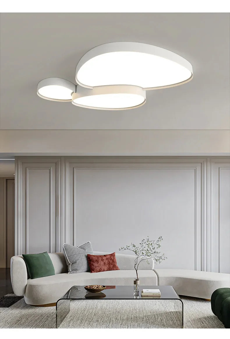Plafonnier LED Ultra-Fin Fer Noir Blanc 40cm 50cm 90cm Dimmable Télécommande