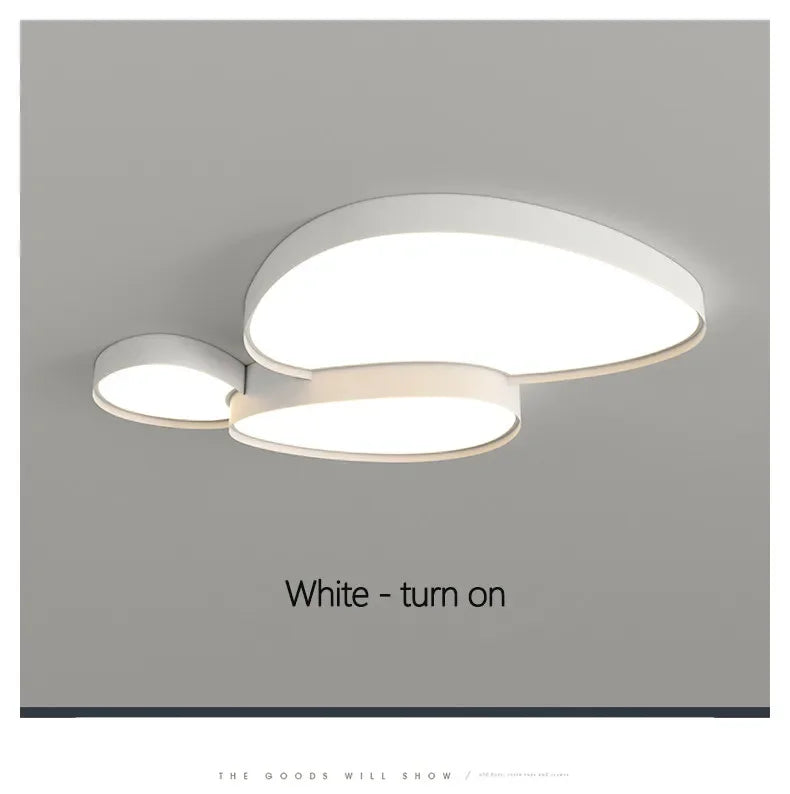 Plafonnier LED Ultra-Fin Fer Noir Blanc 40cm 50cm 90cm Dimmable Télécommande