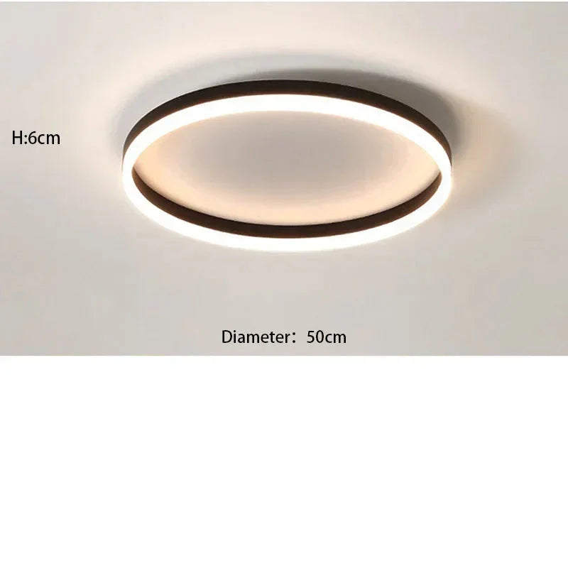 Plafonnier LED Circulaire Nordique 30cm 50cm Noir Blanc Dimmable Télécommande