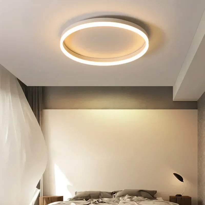 Plafonnier LED Circulaire Nordique 30cm 50cm Noir Blanc Dimmable Télécommande