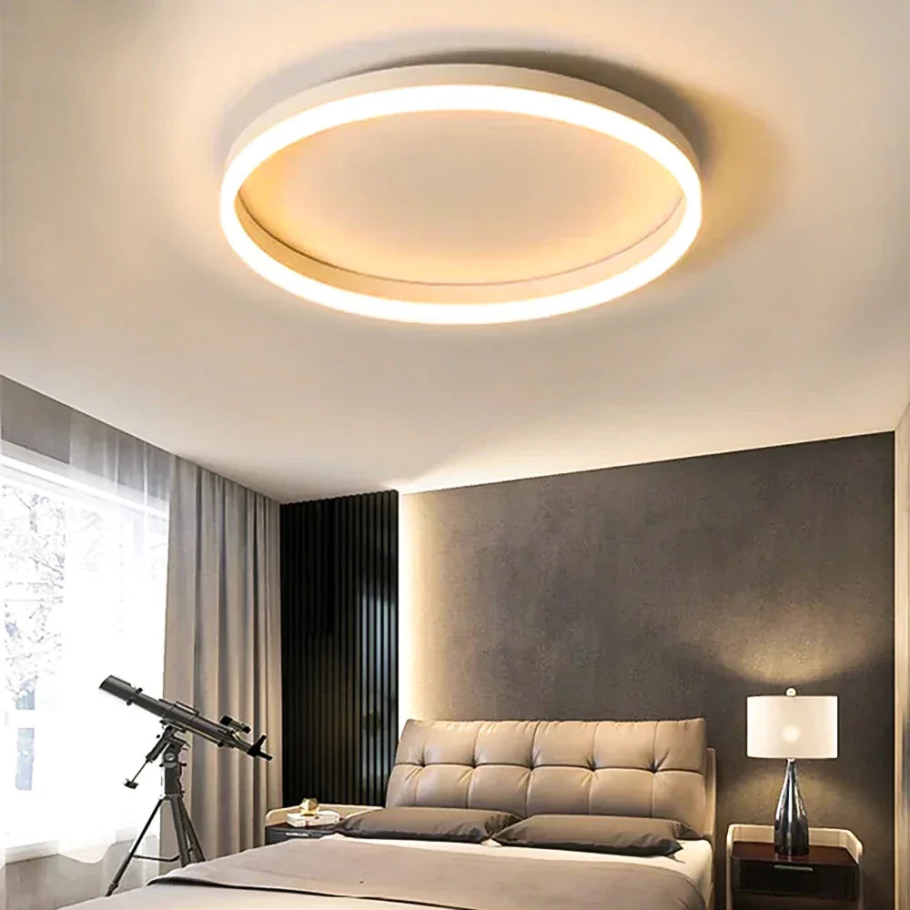 Plafonnier LED Circulaire Nordique 30cm 50cm Noir Blanc Dimmable Télécommande
