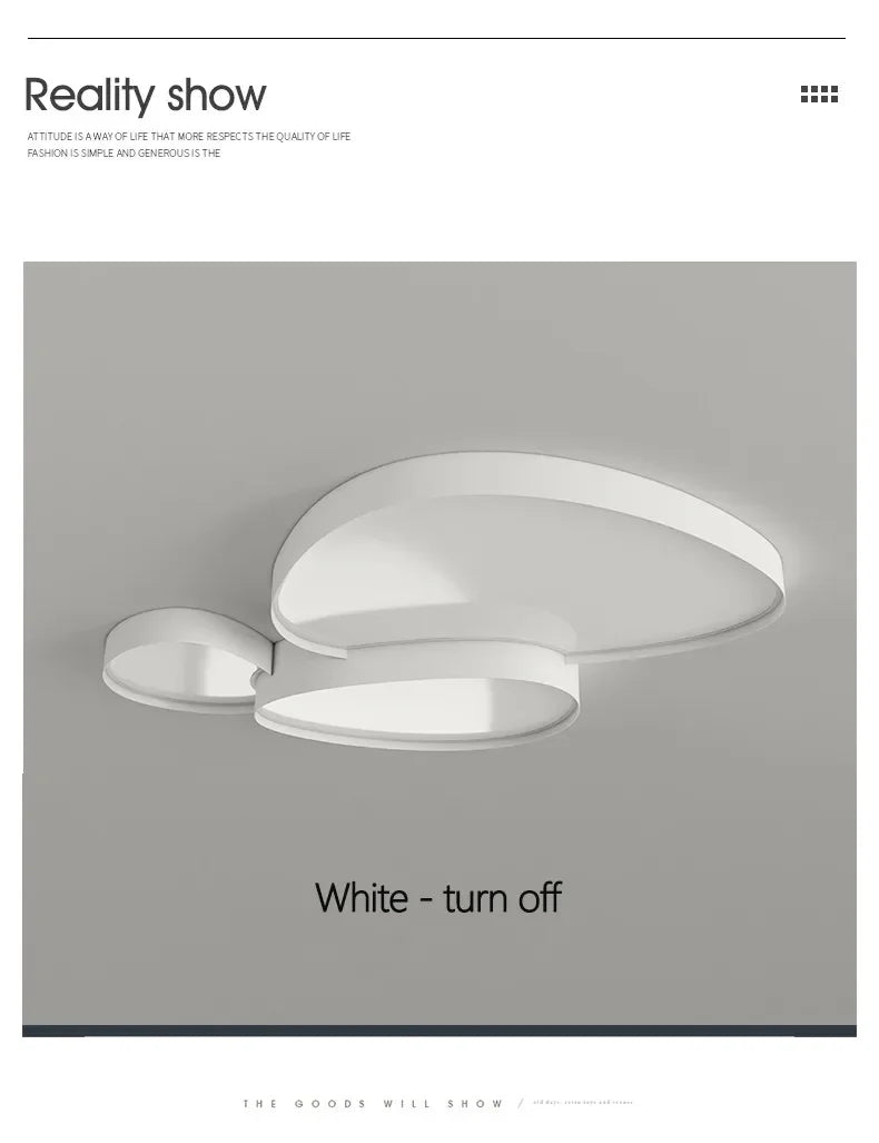 Plafonnier LED Ultra-Fin Fer Noir Blanc 40cm 50cm 90cm Dimmable Télécommande