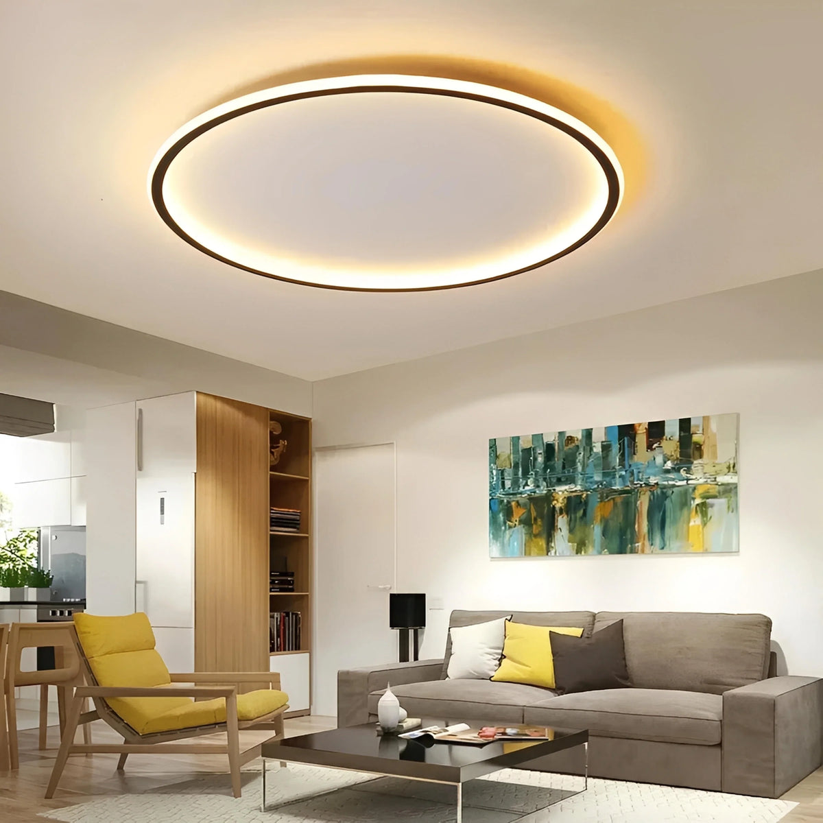 Plafonnier LED Rond Scandinave Ultra-Fin Aluminium Noir Blanc Doré Dimmable