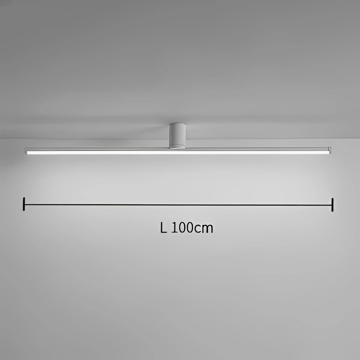 Plafonnier LED Linéaire Nordique 100cm 120cm Noir Blanc Dimmable Couloir