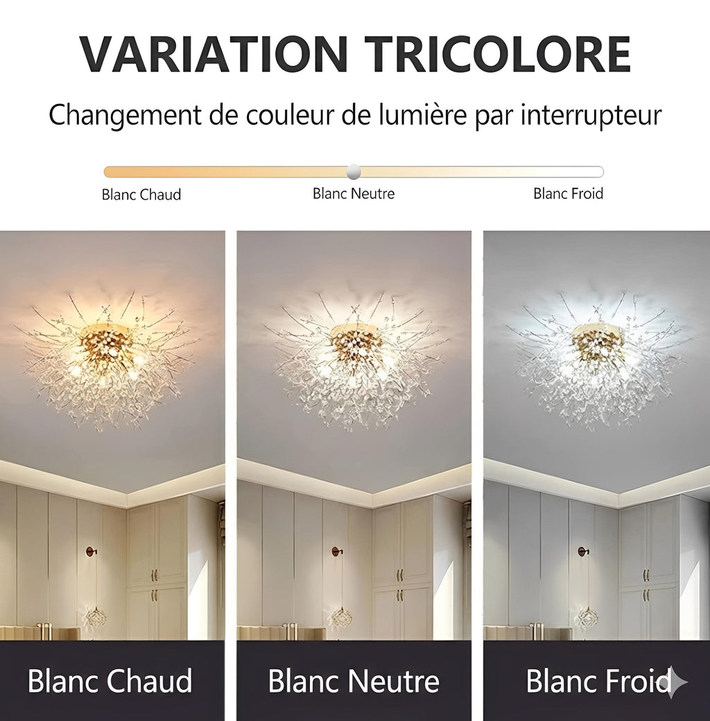 Plafonnier LED Cristal Pissenlit Suspendu Doré Argent